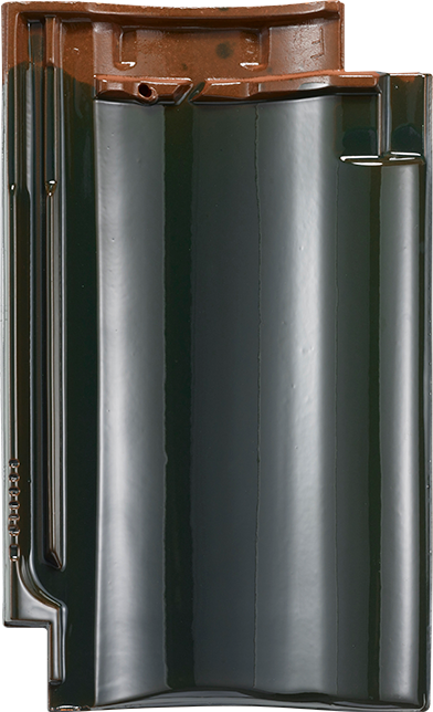 RT 855 - Laumans IdealVariabel