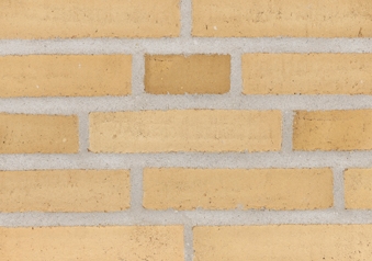 RT 209 Yellow DKNF.